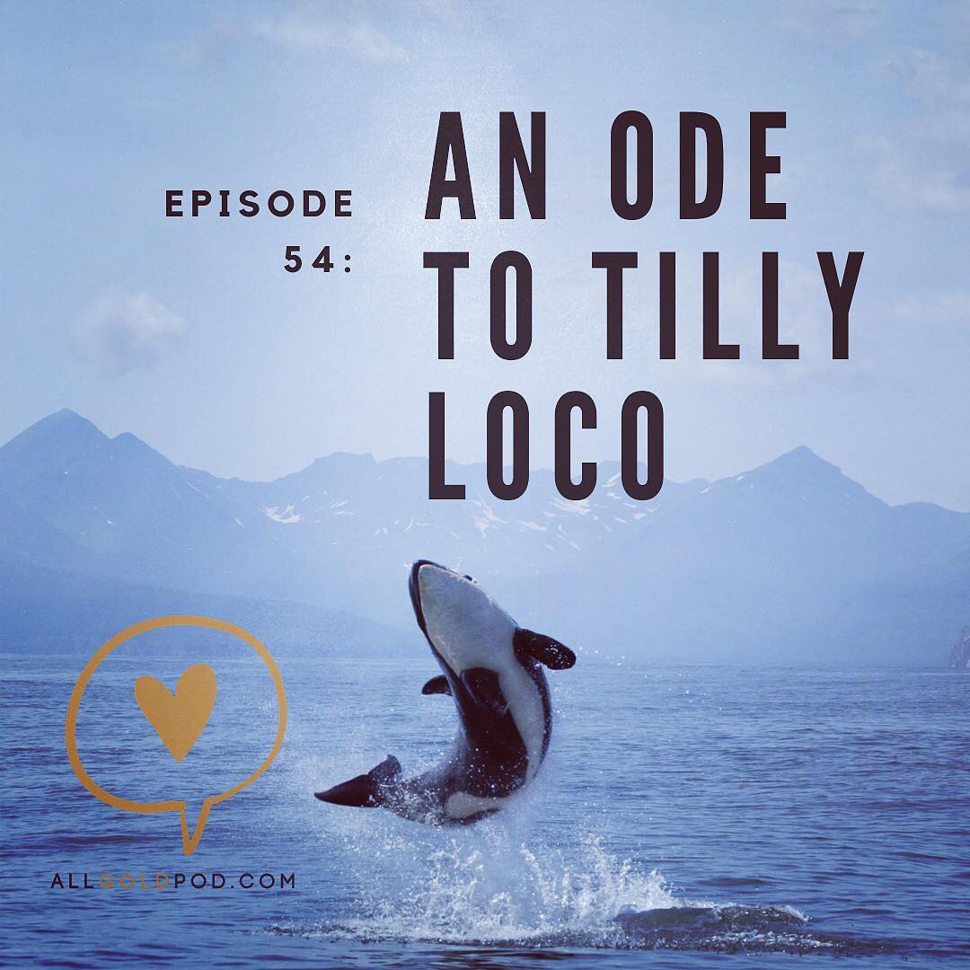 All Gold Everything | Episode 54: An Ode to Tilly Loco