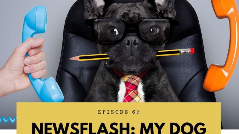 All Gold Everything | Episode 69: Newsflash – My Dog is a Jerk!